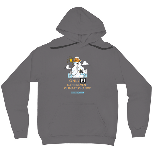 Melty the Bear Unisex Hoodies (No-Zip/Pullover)