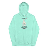 Melty The Bear Hoodie